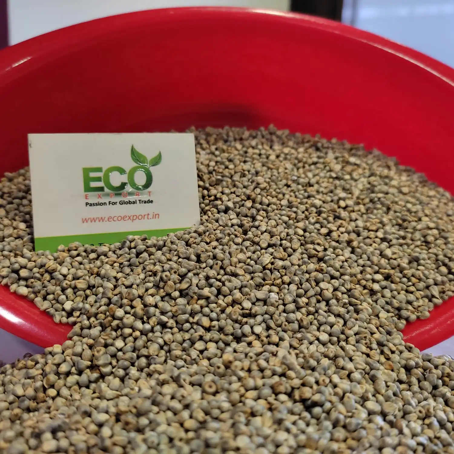 Bird Feed Green Millet Buy Best Bird Feed New Crop Millet Low Rate Millet Bird Feed Millet,New