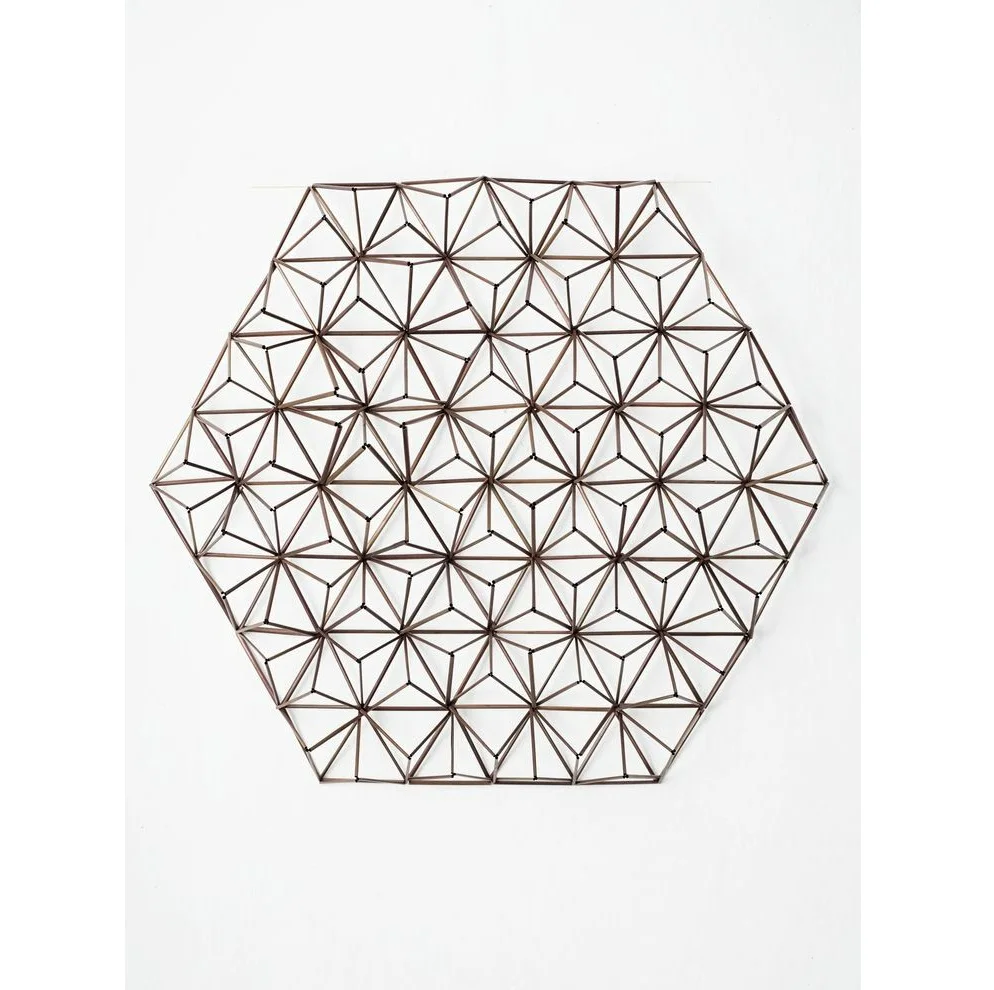 Lotus Flower Against Minimalist Backgound Wrapped Lotus Blossom Graham