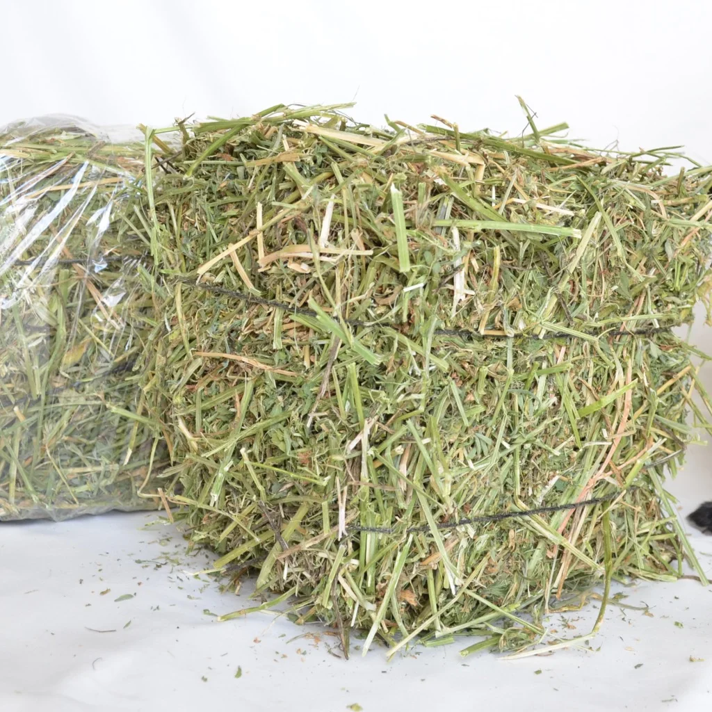 Hot Sale Alfafa Hay For Animal Feeding /alfalfa Hay Pellets /timothy