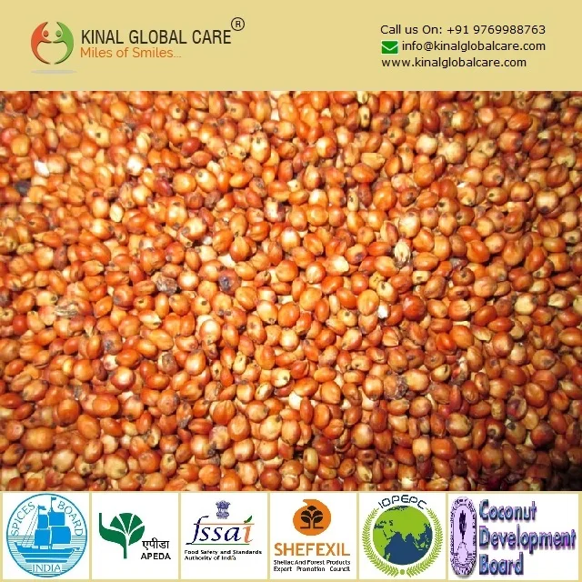 Grain Bulk Red And White At Affordable Price From