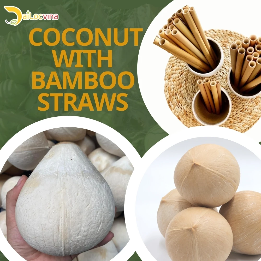 Vietnam Young Fresh Coconut With Best Price,Bentre Coconut Buy