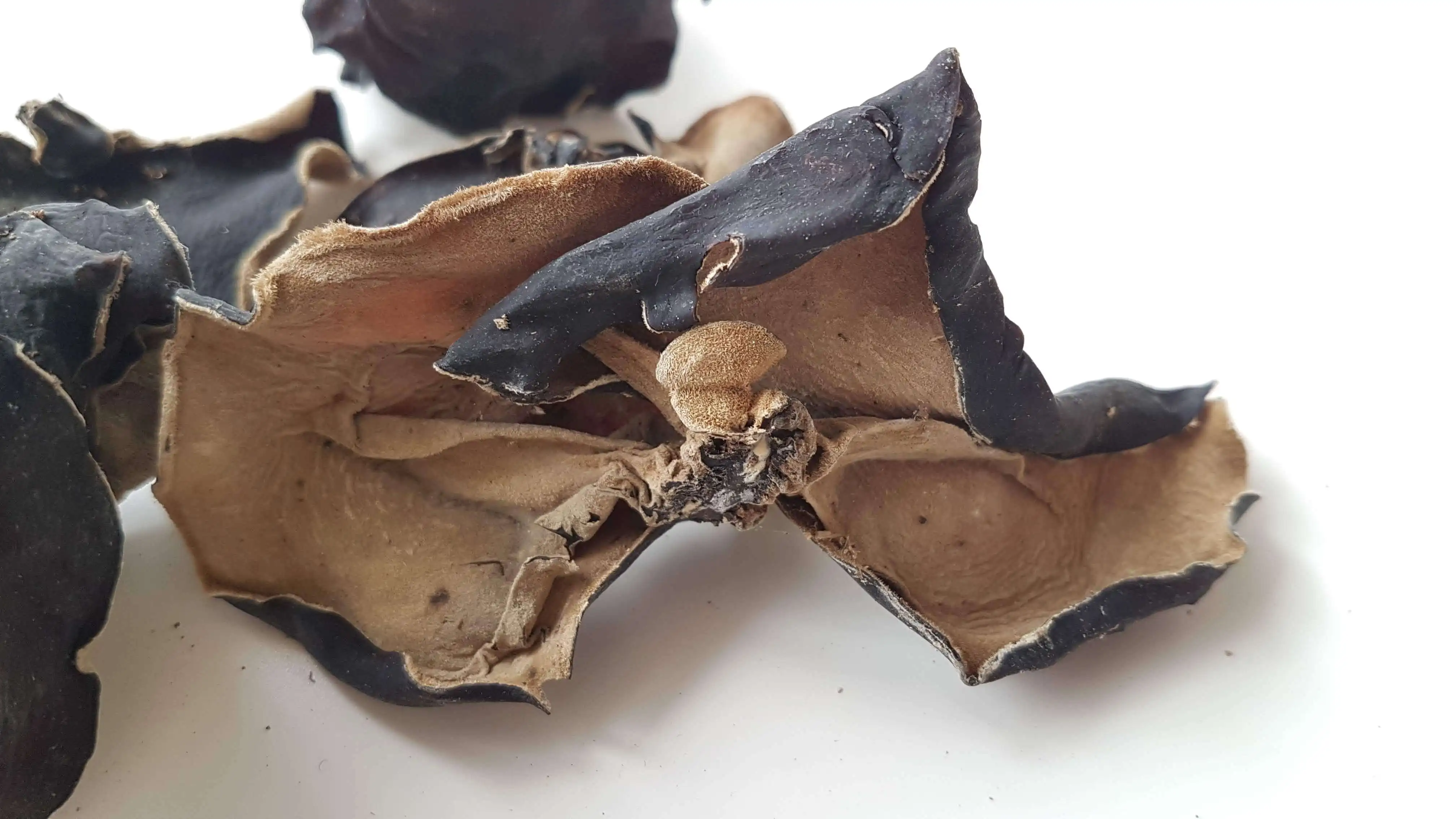 High Quality Black Fungus Shredded Wood Ear Mushroom Or Cut Into 1/8