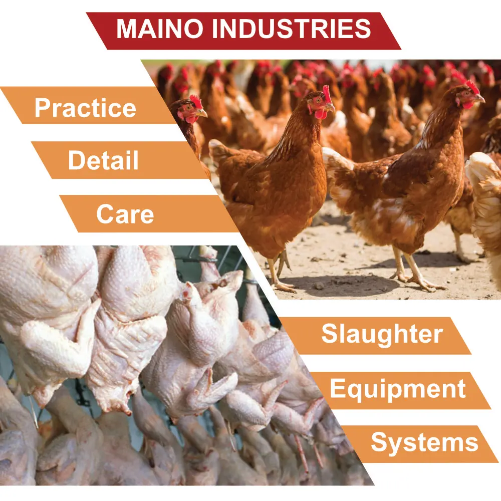 Stainless Steel Made In Italy Top Quality Slaughtering Equipment