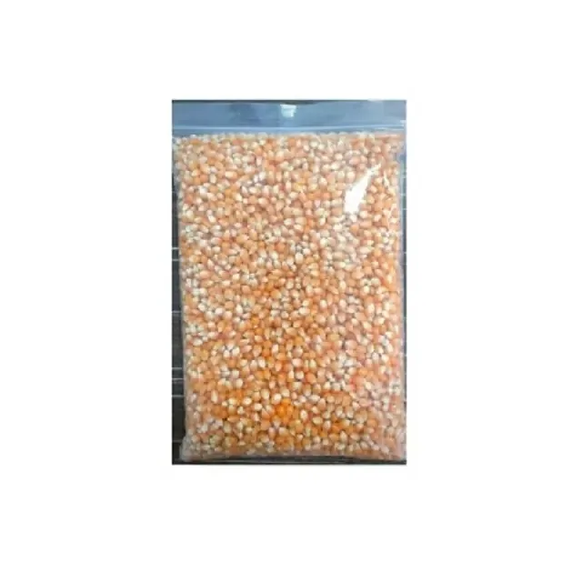 Yellow Corn White Maize For Human Animal Feed Sweet Corn Price Packaging In Bags Yellow For Sale