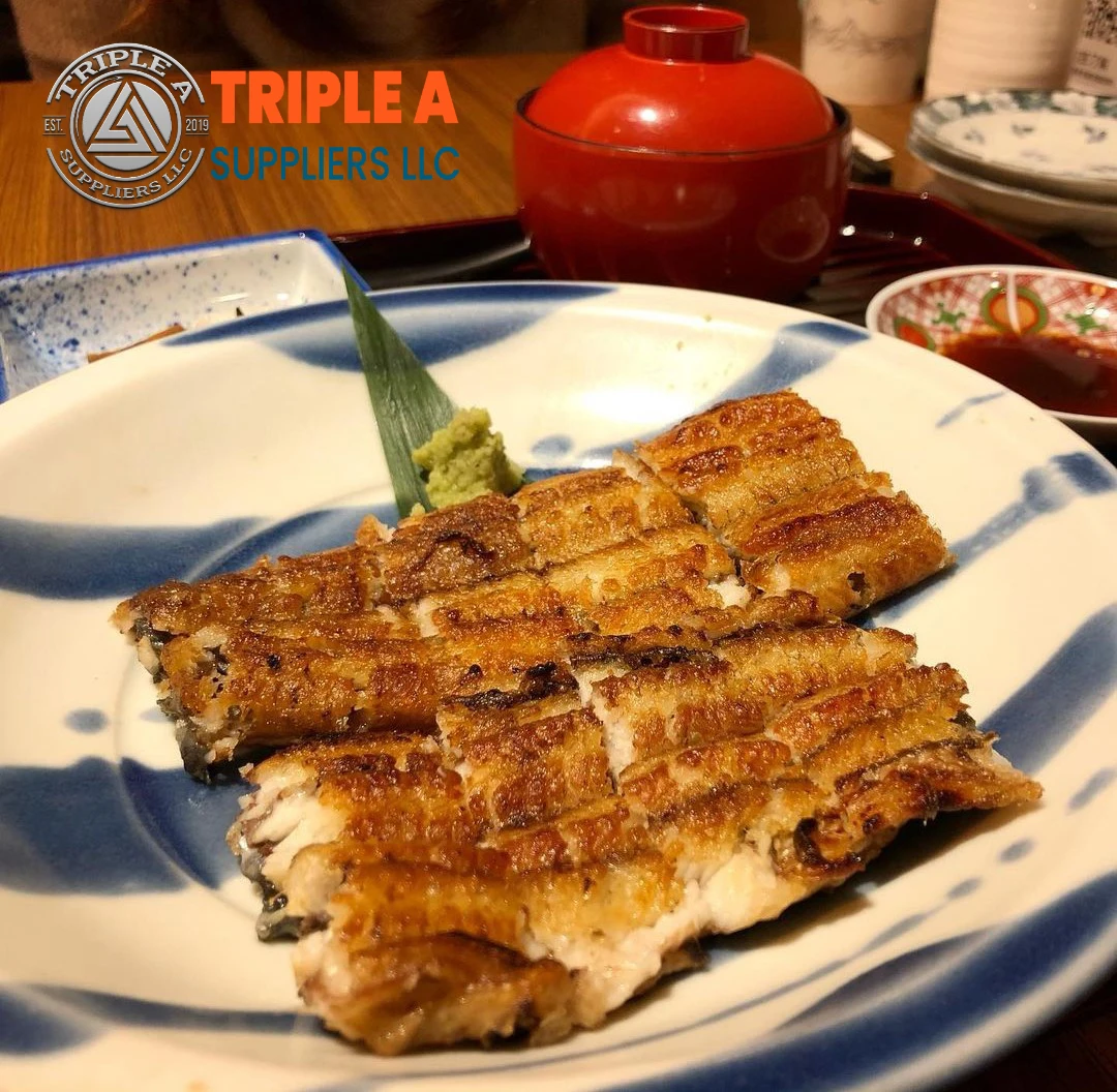 100% High Quality Fresh Eel Fish Long Fin Live Eel Fish Sweet Water