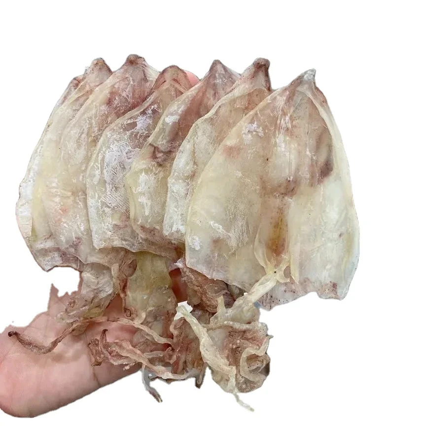 Hot Hot Extra Virgin Dried Squid And Refined Dried Squid From Vietnam With Best Price The