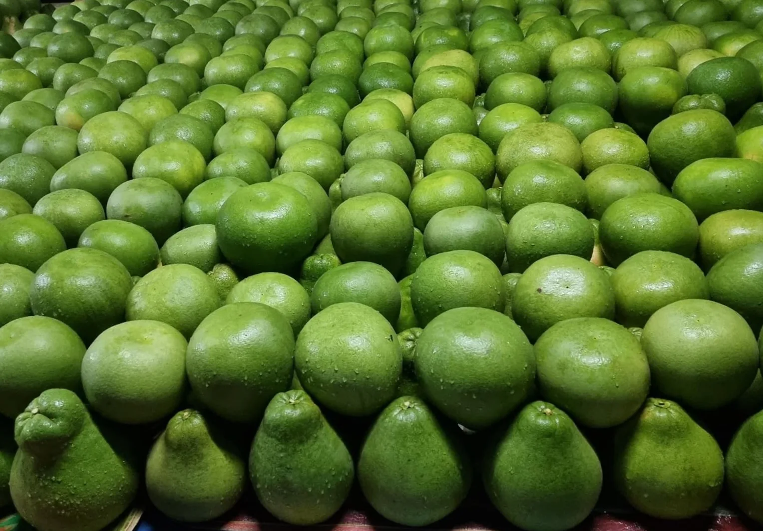 Best And Premium Grade Of Siam Ruby Red Pomelo From Thailand Fresh