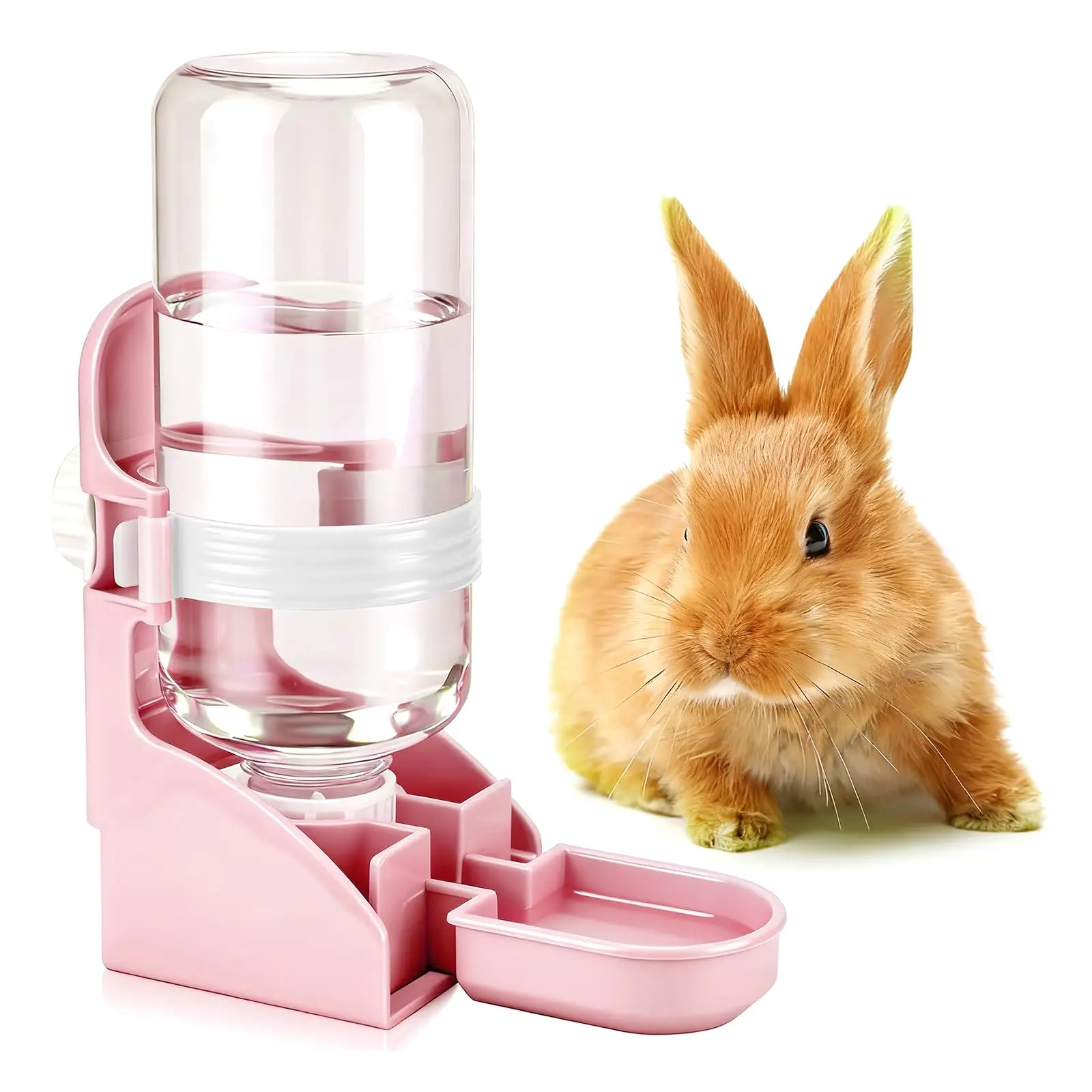 Rabbit Water Dispenser