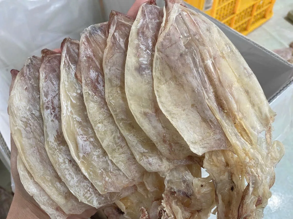 Dried Thin Squids Sotong Kering Nipis With 2 Year Shelf Life Chiller Storage// Many Sizes Dried