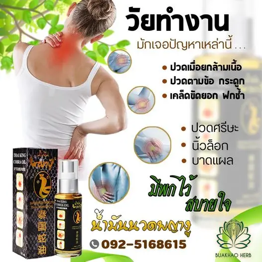Thai Herbal Balm - Thai King Cobra Oli Hot Sell Product