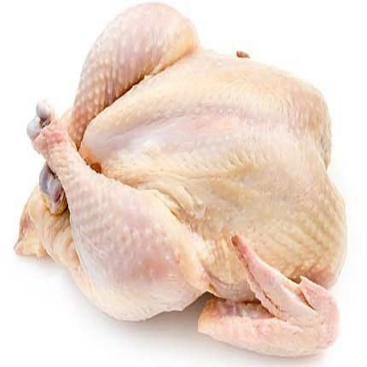 Buy Quality Wholesale Brazilian Halal Frozen Whole Chicken Buy Brazil Whole Frozen Chicken