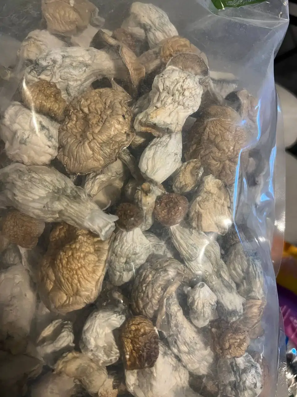 Quality Bulk Edible Mushrooms Shiitake Mushrooms Customized Shiitake