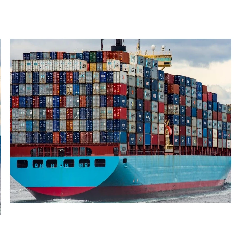 Best Selling International Sea Freight Agent Services Forwarder To