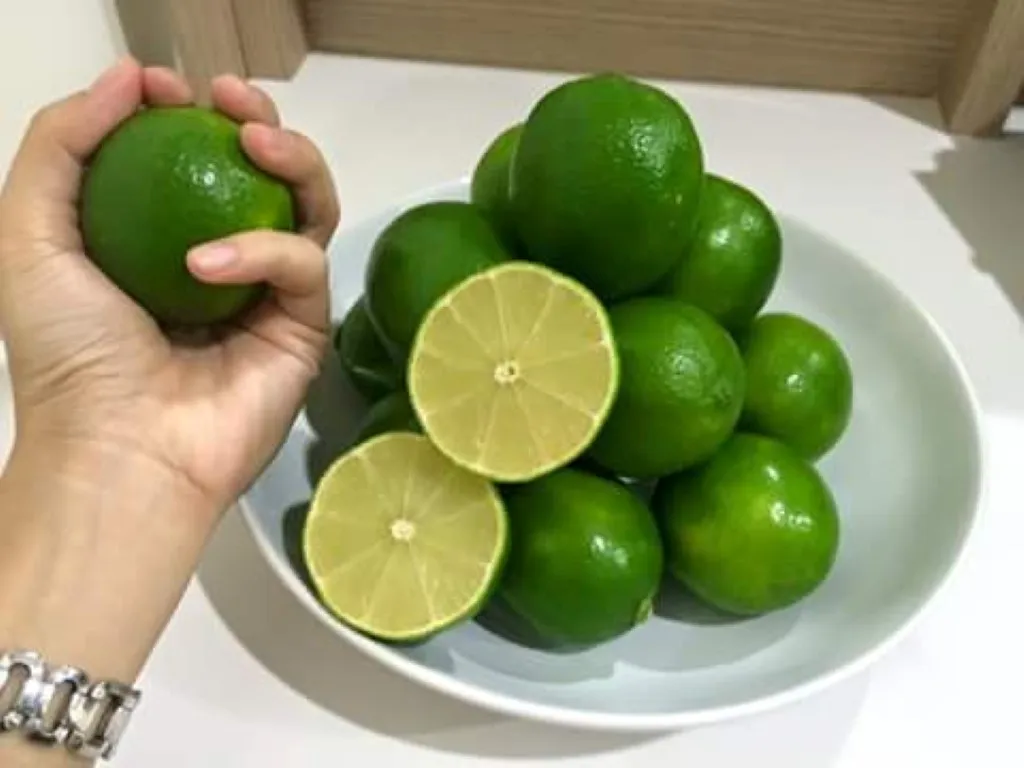 Fresh Seedless Lime Best Quality For Sale,Call +84984418844w Buy Fresh Lime From Vietnam Best