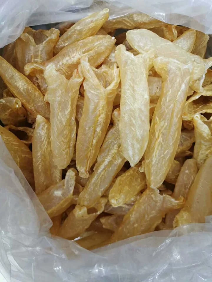 Dried Air Sun Dried Fish Maw Dry Swim Bladder Seabass Basa Pagasius