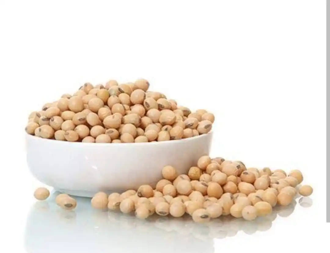 Soybean Seed Available For Sales At Low Market Price Buy Soybean Seed