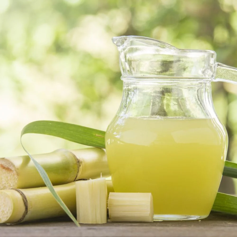 Fresh Stalk Sugarcane Organic From Indonesia High Quality Sugar Cane