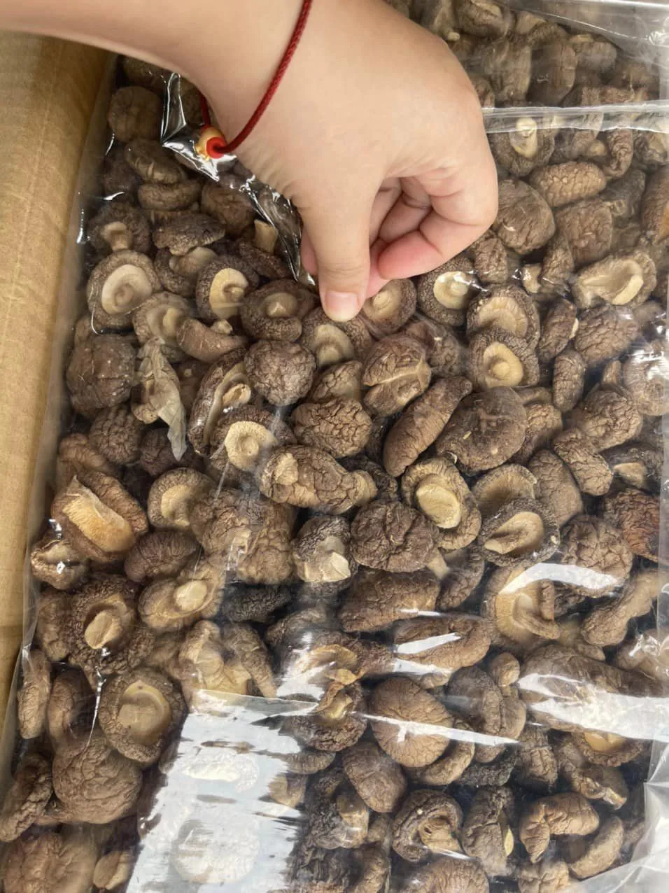 Wholesale Dried Shiitake Mushroom Prices Shiitake Mushroom Buy