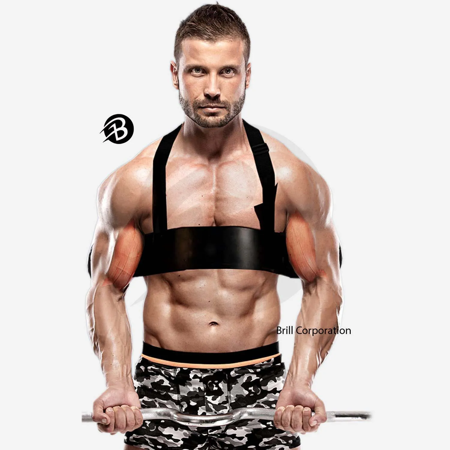 Arm Blaster For Biceps & Triceps Dumbbells & Barbells Curls Muscle