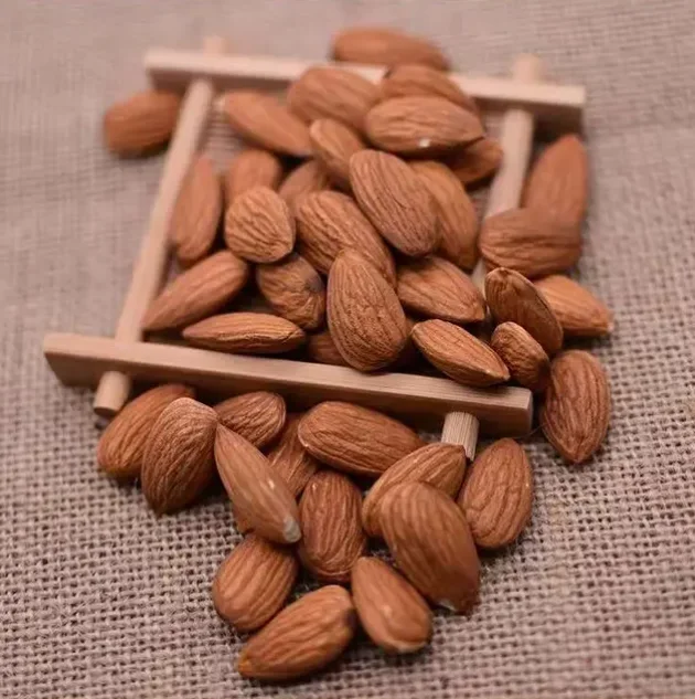 Natural Almonds Premium Pure Quality Nuts Smoked Almonds Wholesale