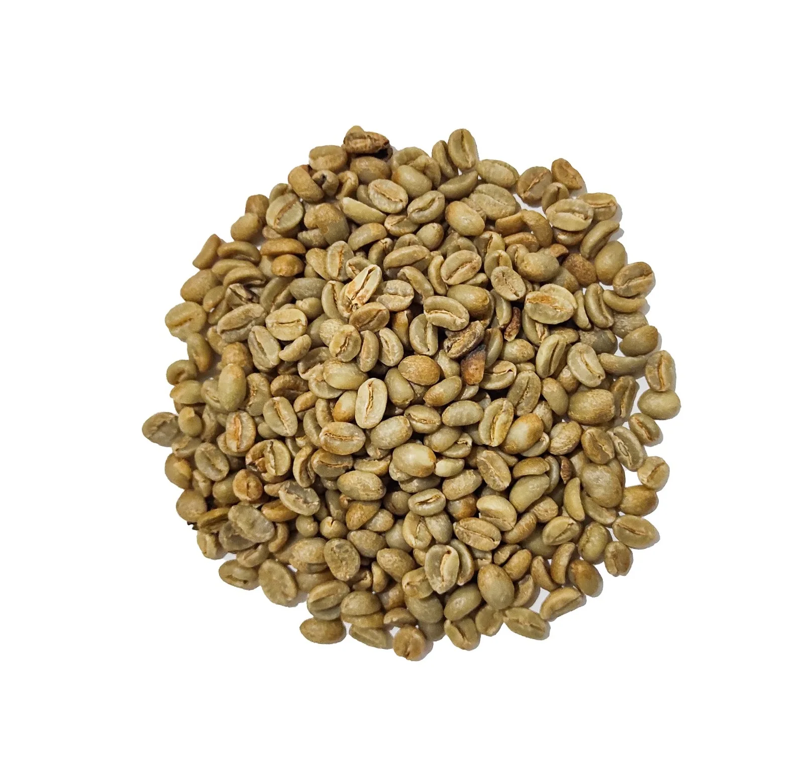 Premium Quality Geisha Green Coffee Beans Geisha Variety Arabica Coffee