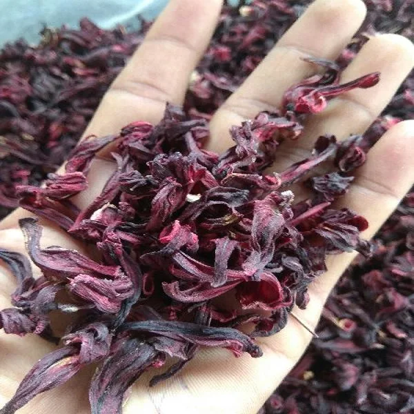 Luxury Red Hibiscus Dried Hibiscus Flower Oem Hibiscus Tea Bags 100