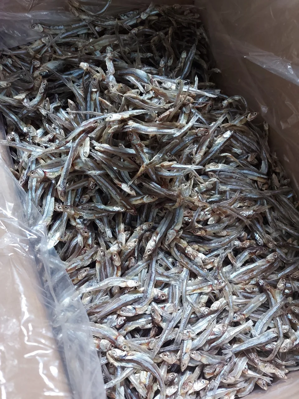 Hot Sales 2023 For Sun Dried Anchovy Fish Dried Anchovy Fish Dried
