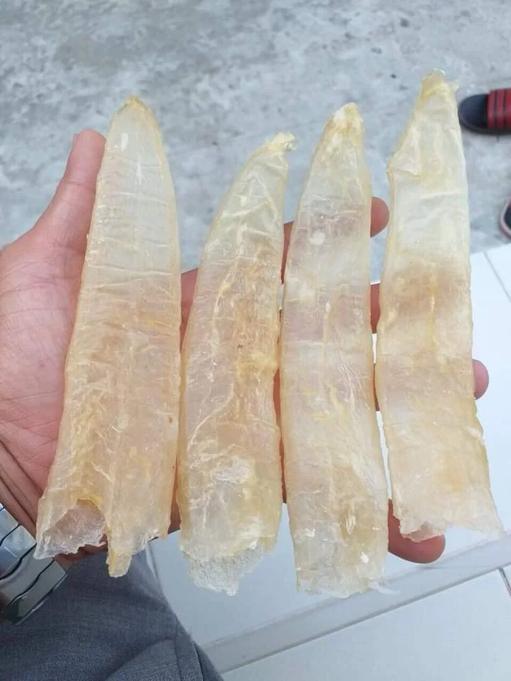 Dried Air Sun Dried Fish Maw Dry Swim Bladder Seabass Basa Pagasius