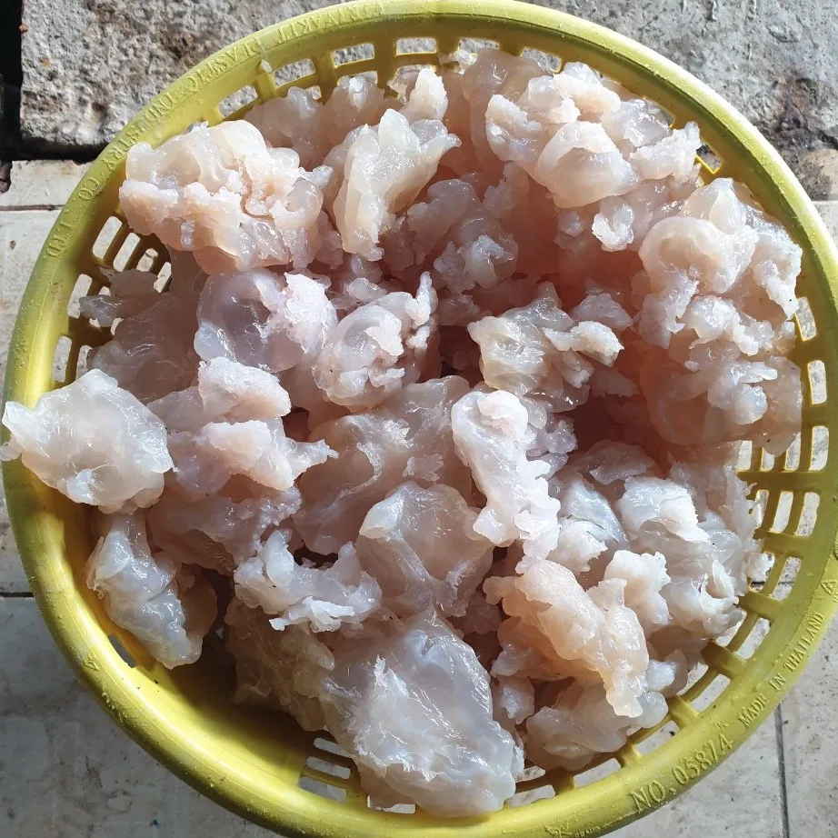 Salted Jellyfish Delicious Seafood Agriculture Product Salted Jellyfish