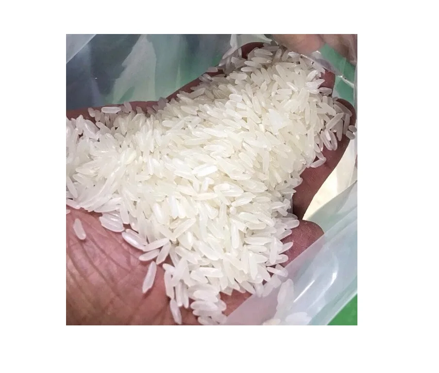 Premium Thai Jasmine Fragrance Rice Thailand Top Quality And Export ...