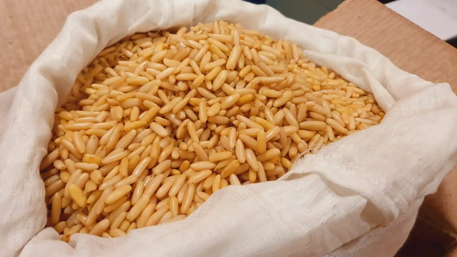 New Fresh Pine Nuts Pakistani Kernels Pine Nuts Wholesale Price Bulk