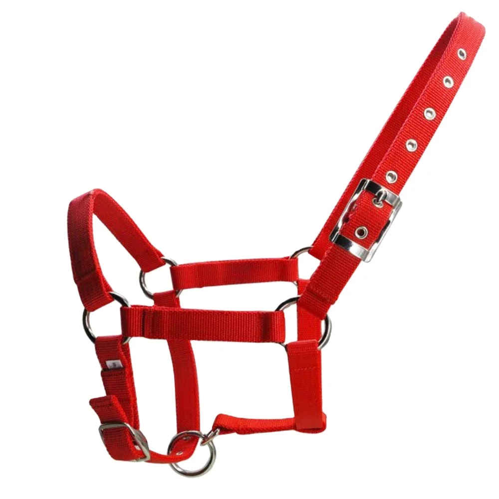 Adjustable Safety Soft Equine English Headcollar Leather Buckles Rope