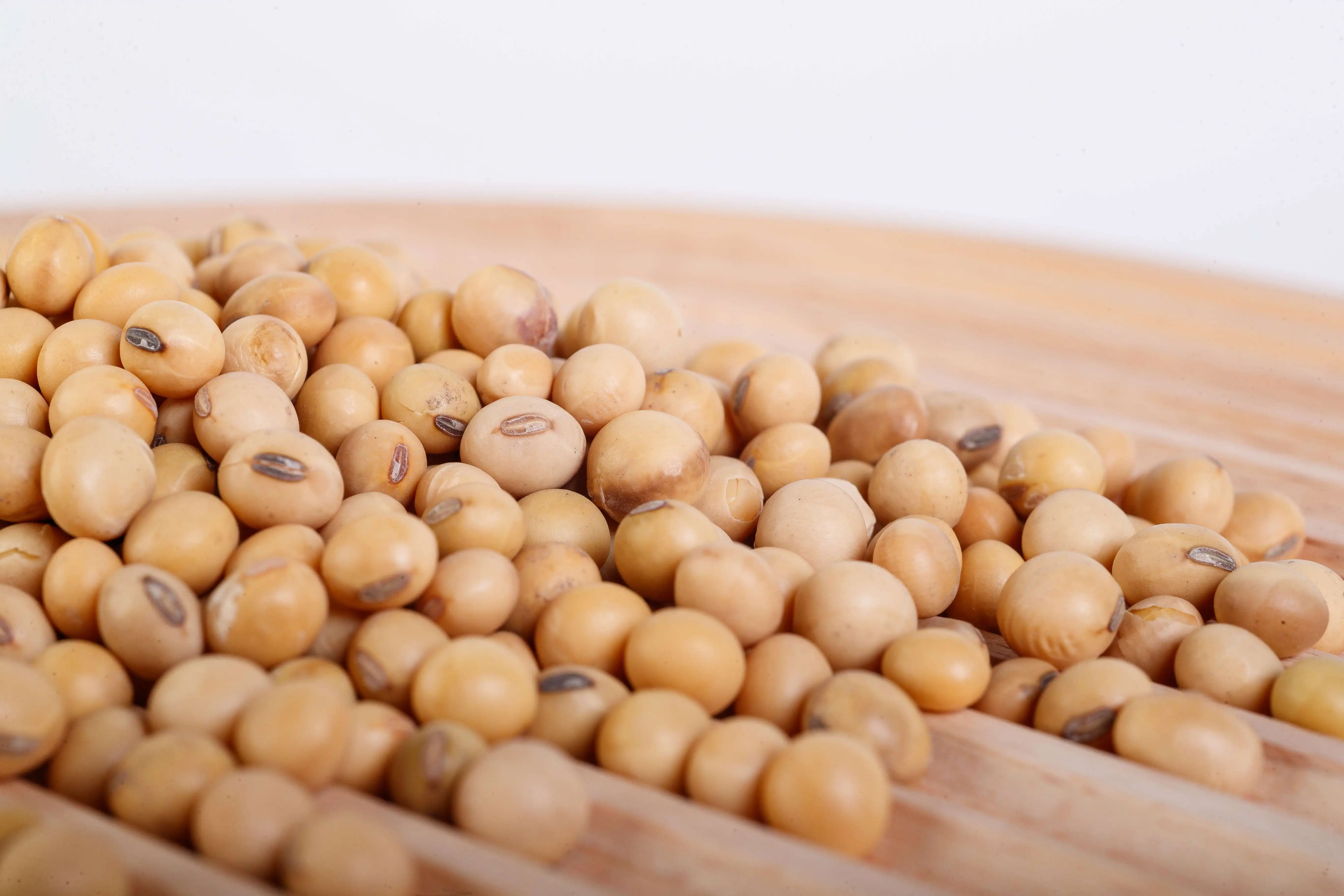 Vietnam Yellow Soybeans Dry Soybeans With Customized Package High Quality Organic Beans Ready To