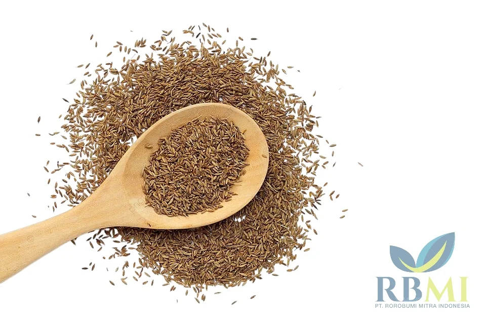 High Quality Organic Pure Fennel Seeds Single Herbs & Spices Buy