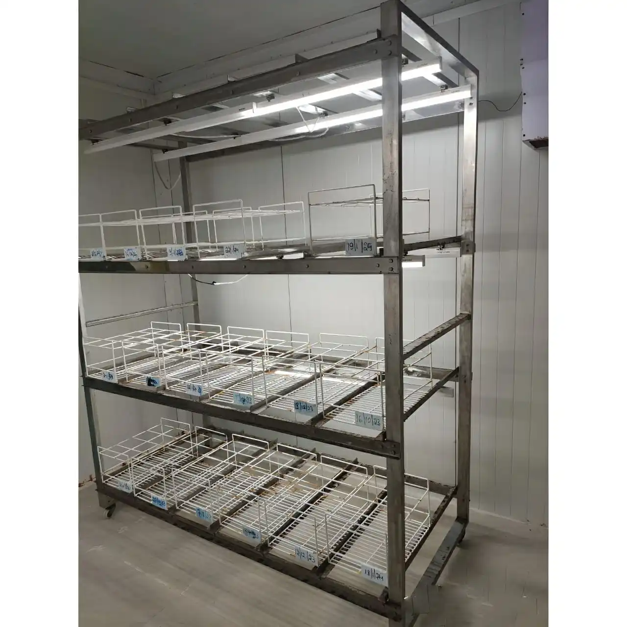 Tissue Culture Rack with LED Lighting Heavy Duty Laboratory Plant ...