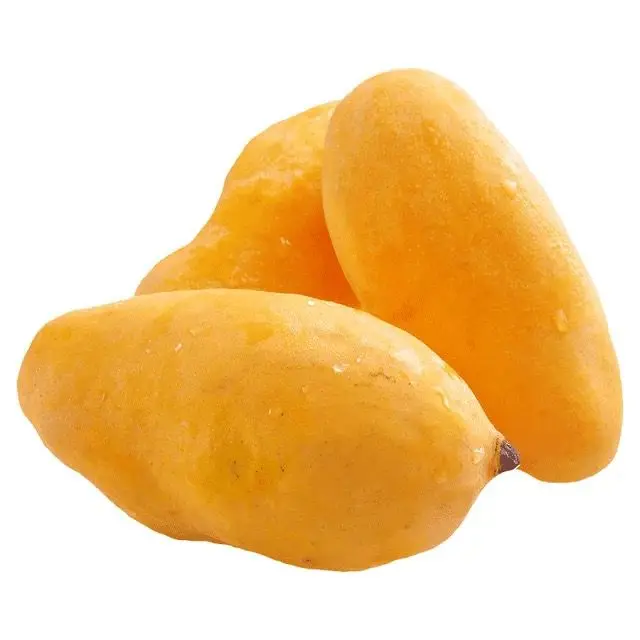 Cheap Vietnam Fresh Mango Pulp,Frozen Mango And Dried Mango Export To