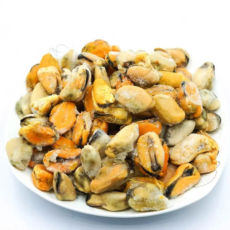 Fresh Frozen Mussel Meat Shellfish Detail Half Shell Mussel Frozen