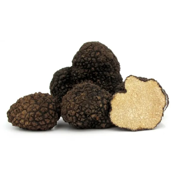 Buy High Quality Fresh Black Truffle,Fresh Black Italian Summer ...