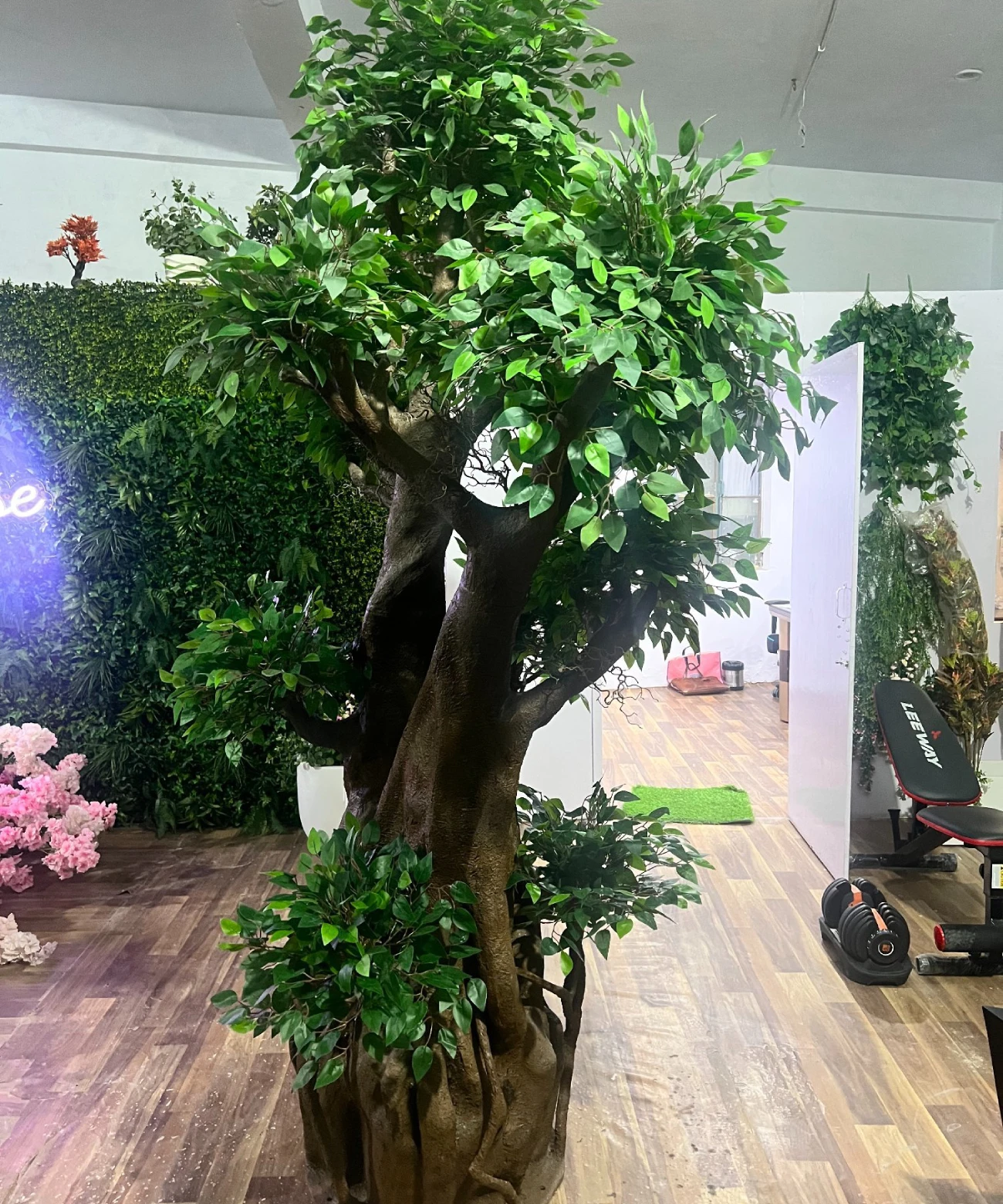 Super Selling Faux Ficus Microcapa Hand Made Tree With Superior Quality