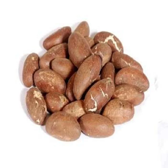 Wholesale Kola Bitter Kola Nuts Buy Bitter Kola,Kola Nuts For Sale