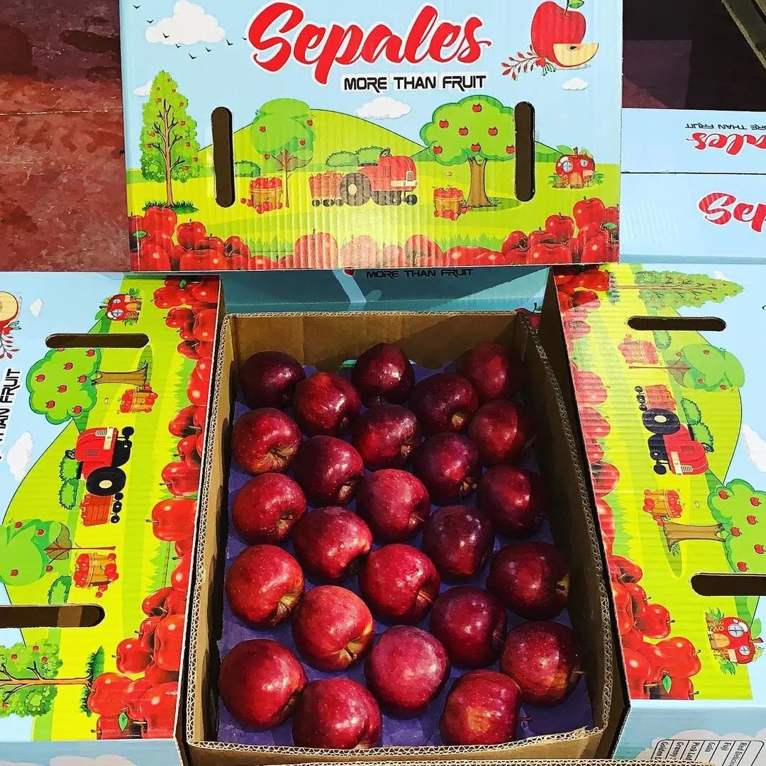 Fresh And Delicious Natural Highquality Sweet Fuji Apple Buy Premium