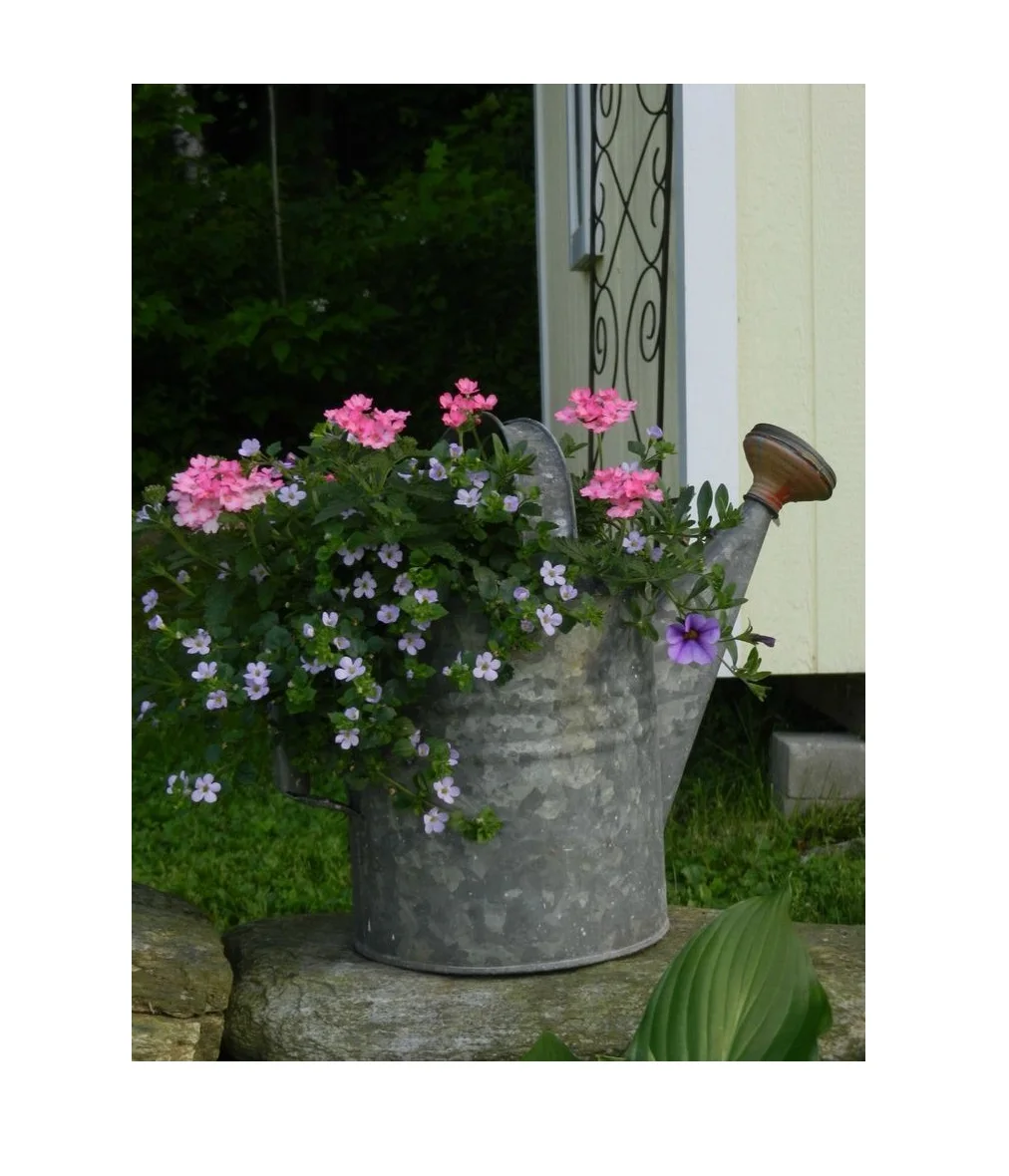 Traditional Design Handmade Copper Watering Can Exporter Wholesale New