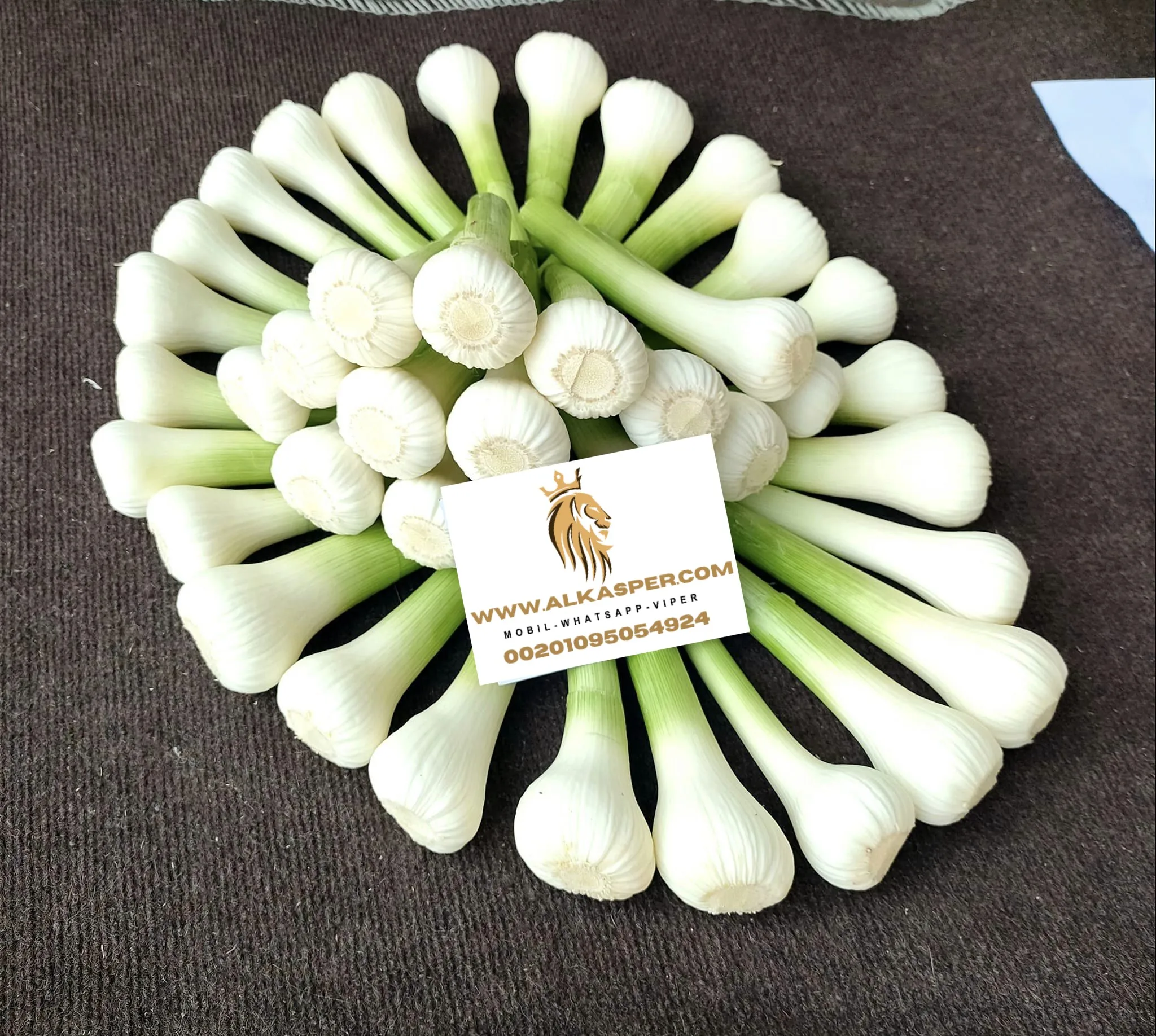 Fresh Garlic New 2024 Garlic Factory Price Of High Quality Wholesale