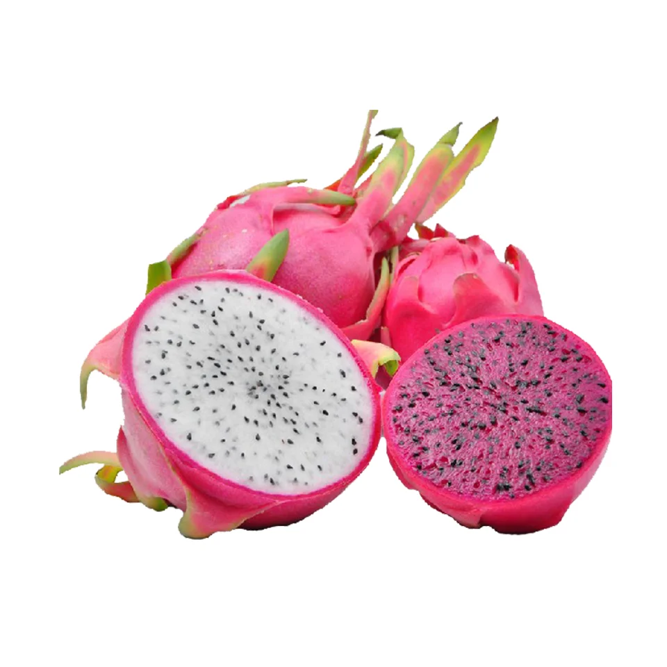 Fresh Redwhite Dragon Fruit Fresh Dragon Fruit Cheapest Price From Vietnam Wholesale Price 