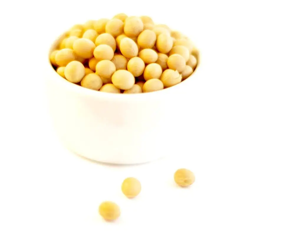 2023 Crop High Protein Yellow Soybean Soya Beans / Soy Bean For Sale
