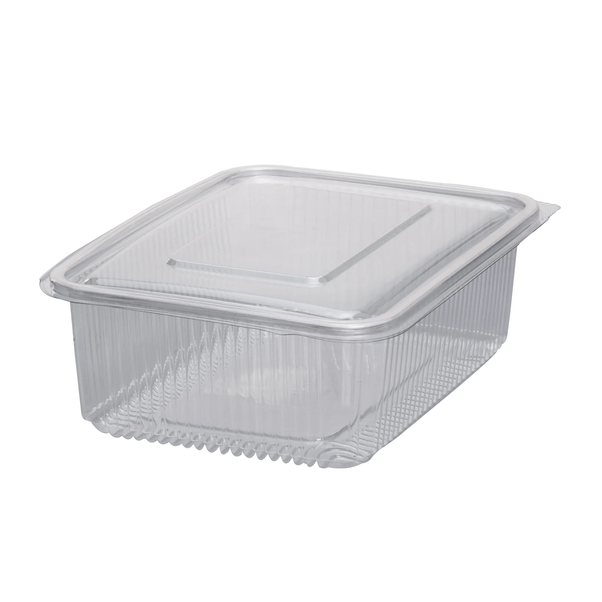 Best Offers Polypropylene Made Hinge Container (case) For Food Packing