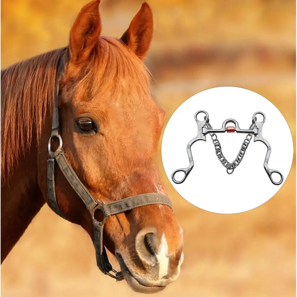 批发马术不锈钢空心嘴全颊蛇头马钻头马热卖设备