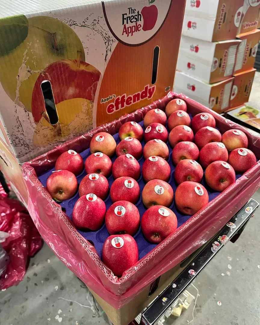 Fresh Apples Red Fuji Green Golden Delicious Apples Buy Cheap Price