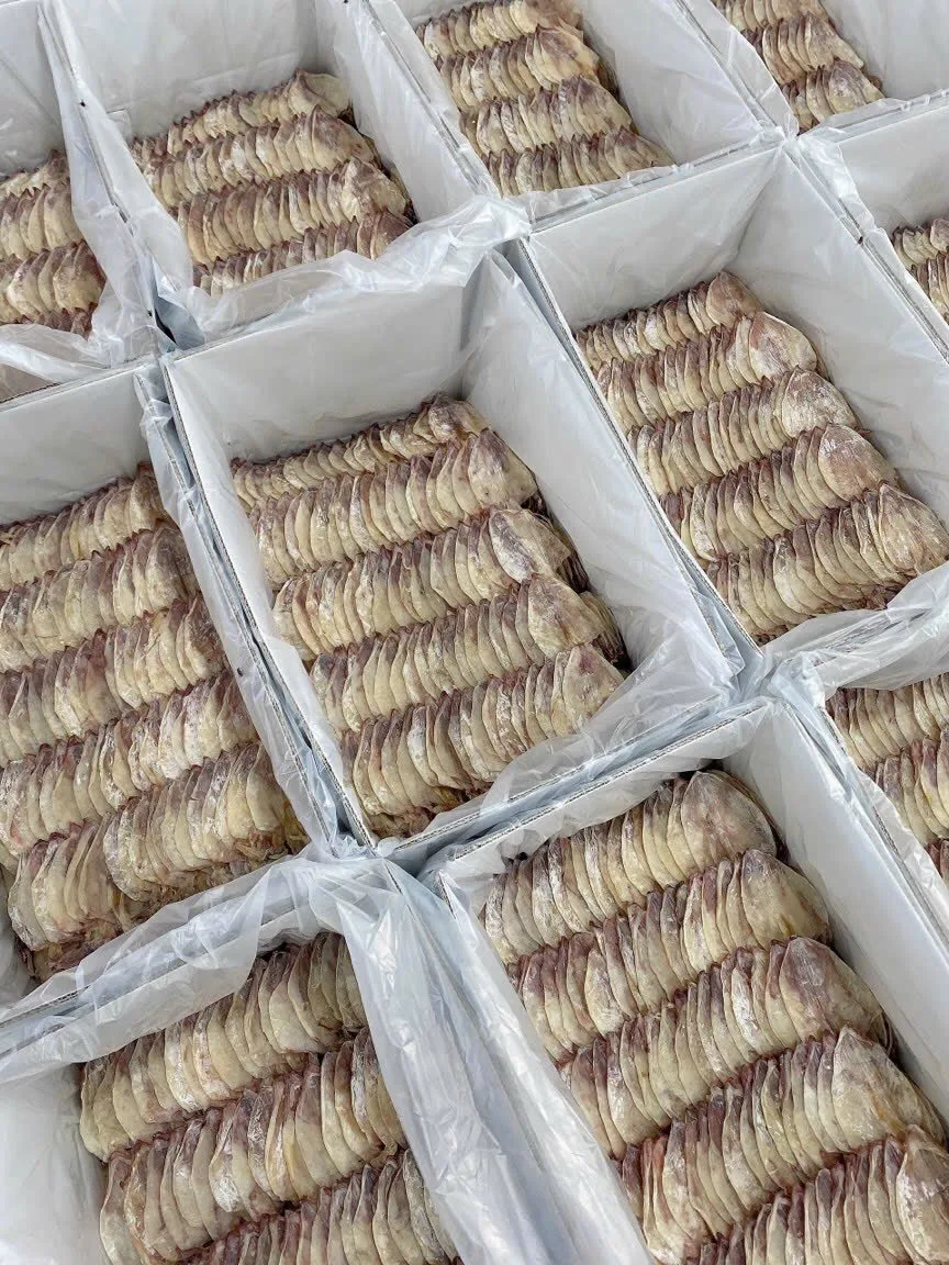 Hot Hot Extra Virgin Dried Squid And Refined Dried Squid From Vietnam