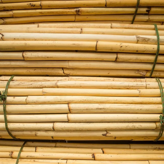 Wholesale Rattan Cane/rattan Cane Materials/raw Rattan Pole Cheap Price ...